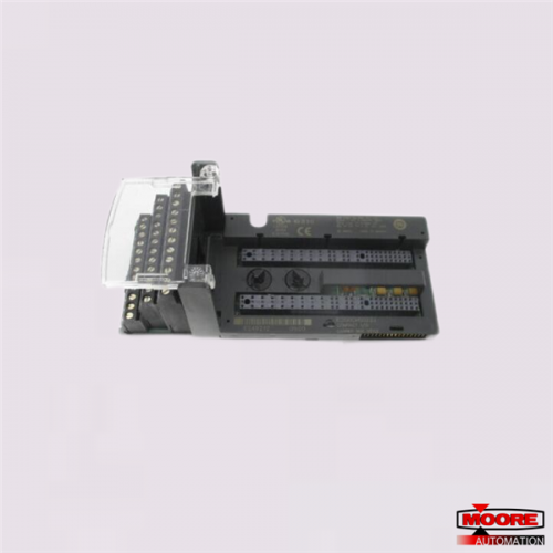 IC200CHS022J