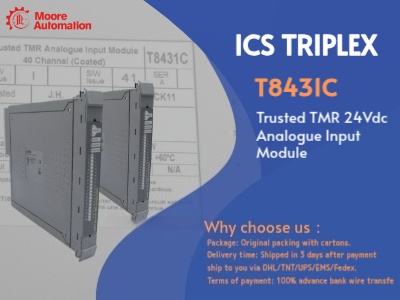 T8431C Trusted TMR Analog Input Module: Technical Overview, Specifications