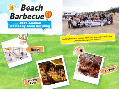 2025 Amikon Beach Team-Building Event Review | BBQ, Games, and a Party Ignite Summer Passion
