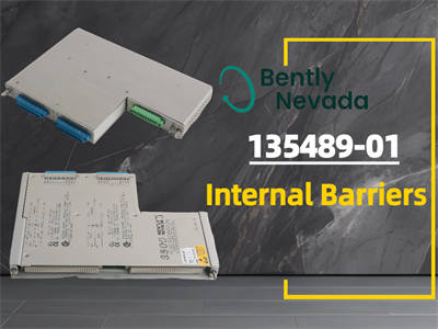 Everything You Need to Know About the Bently Nevada 135489-01 Internal Barriers